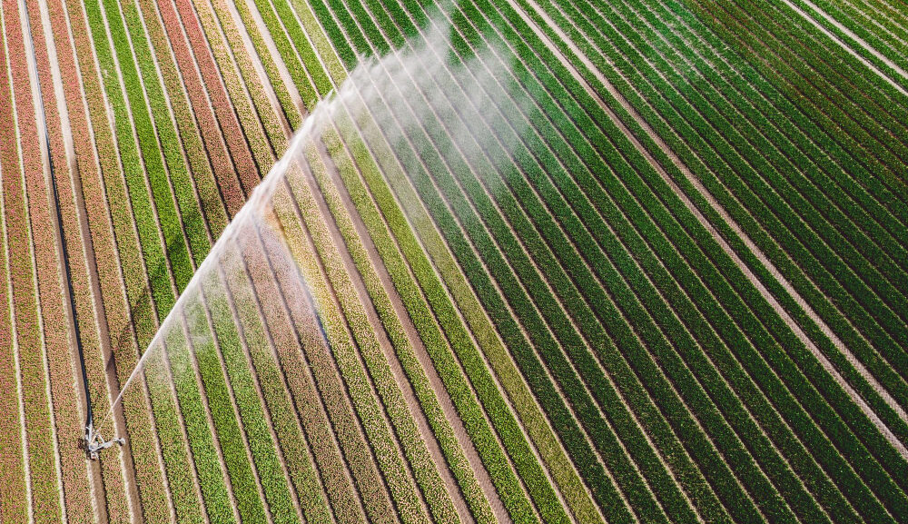 De secano a regadío