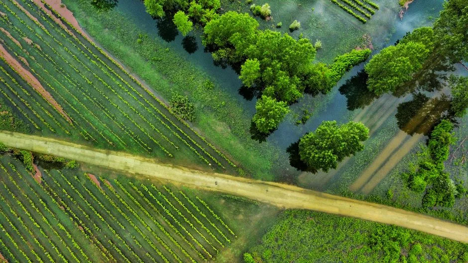 Vista aérea de un campo de cultivo en secano junto a una zona de perforación de sondeo para captación de agua subterránea en España